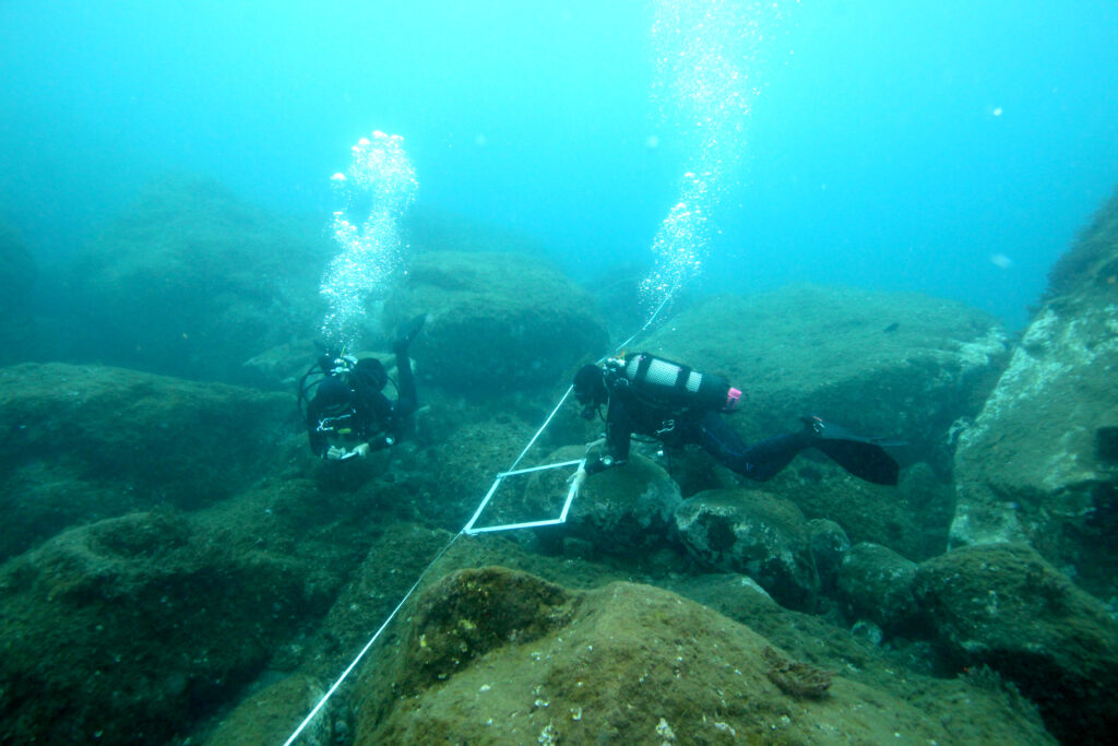 Quadrat on the transect and two divers