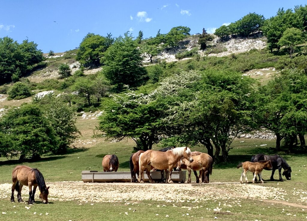 Ontology at BC3 Basque Centre for Climate Change